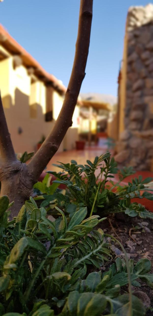 Hostal Asqui Pacha Tilcara Exterior photo